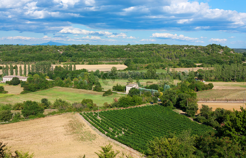 法国南部普罗旺斯的景观国家种植园树木蓝色农业葡萄园天空文化植被季节图片