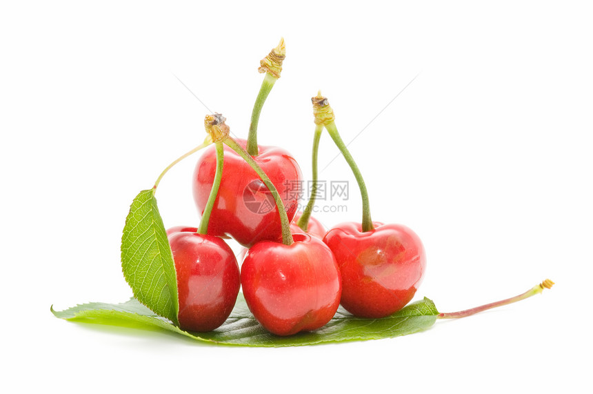 生态樱桃素食红色饮食甜点维生素水果植物农业季节食物图片