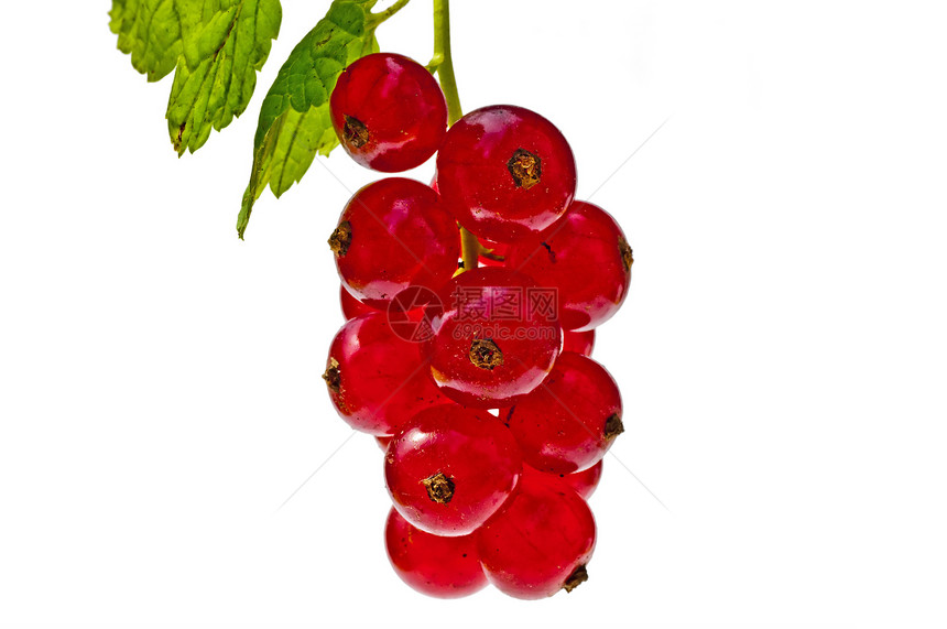 树莓草莓矿物美丽美食食物维生素醋栗甜点水果果味营养图片