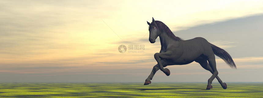 马的自由  3D荒野灰尘阳光跑步男性爬坡鬃毛农场插图哺乳动物图片