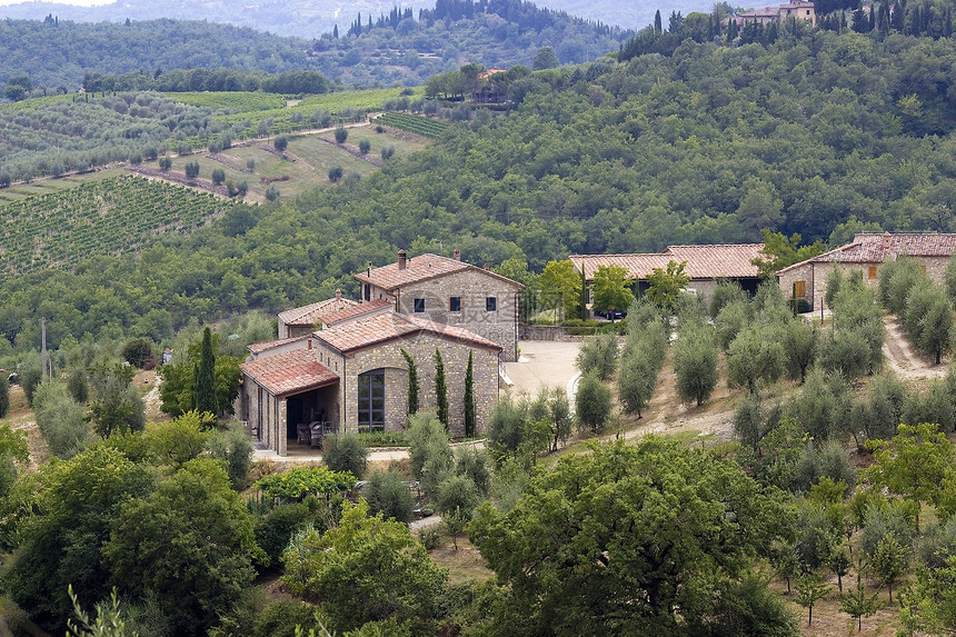 典型的Tuscan 房屋风景绿色乡村房子别墅草地酒厂农场季节性爬坡图片