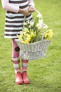靴子详情花园中食水仙子女孩持有篮子的详情水仙花雨靴场地花朵季节微笑靴子享受季节性混血背景