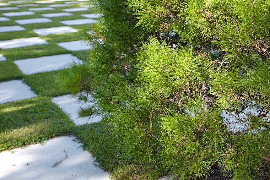 在日本花园的象棋形式中以地区宗教几何生长正方形风景快乐生态公园石头植物图片