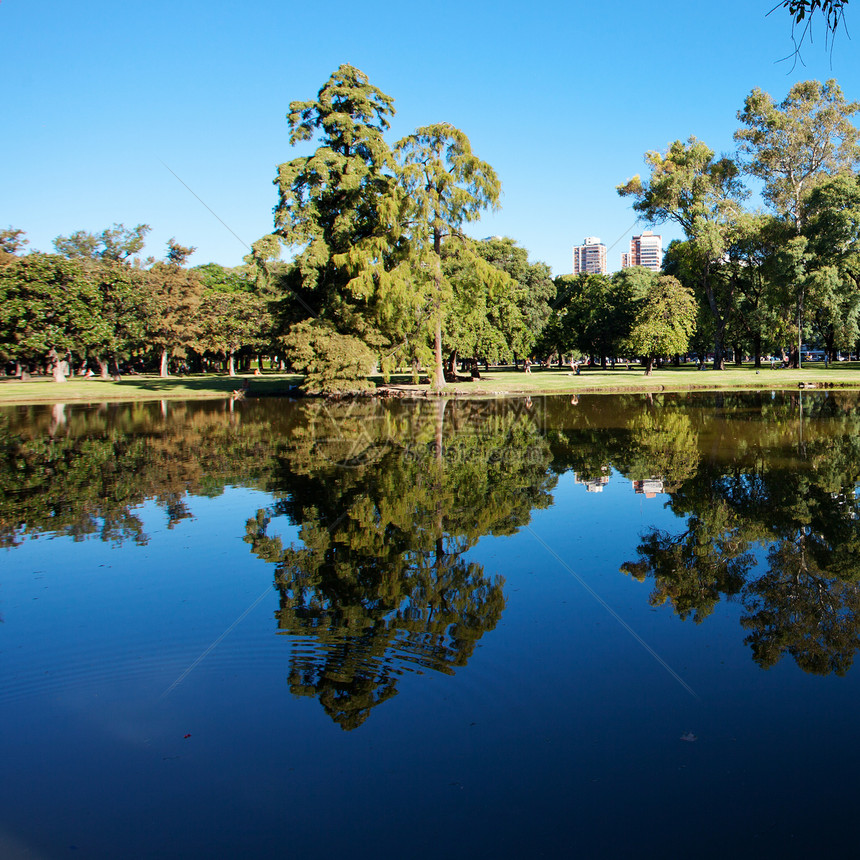 以蓝天和城市为背景的树木和池塘太阳蓝色场景森林植物橙子木头天空水景美丽图片