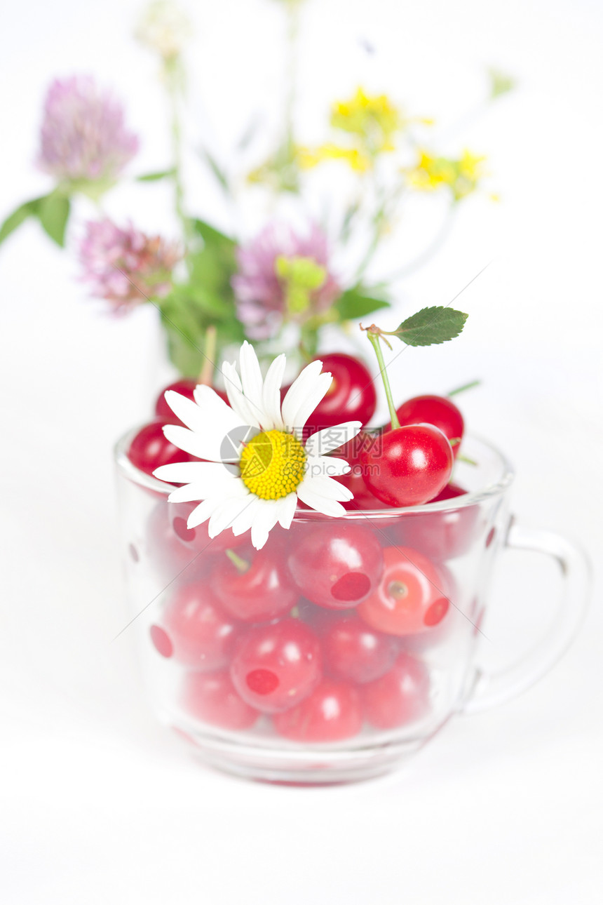 带樱桃和花束的玻璃杯水果甜点宏观洋甘菊食物雏菊美食工作室草药图片