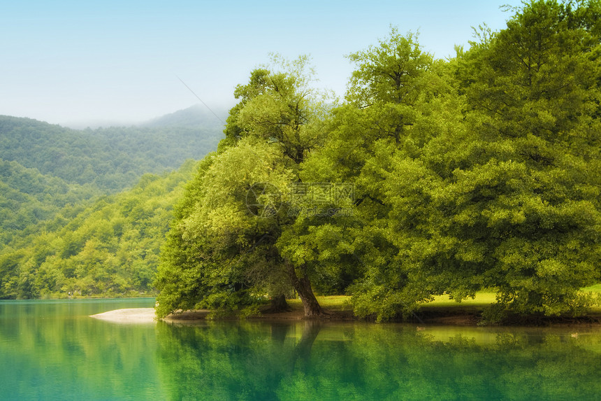 湖生育力树叶生态森林植被溪流叶子美丽天堂公园图片