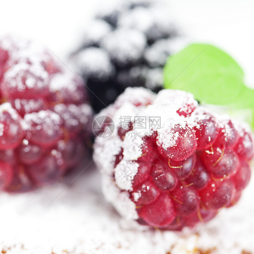 黑莓和白背上薄荷的冰淇淋 草莓 黑莓和薄荷宏观浆果覆盆子甜点工作室飞碟盘子芯片馅饼糕点图片
