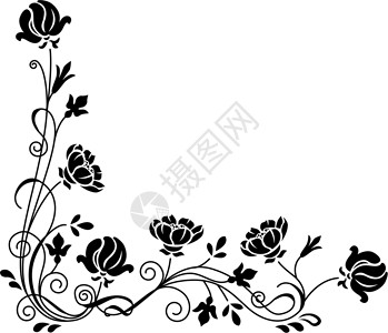 丝状花卉形态背景图片