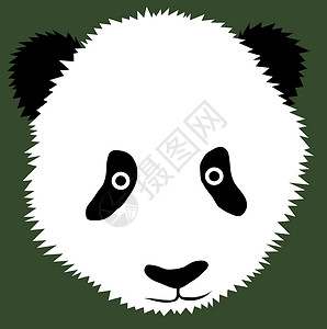 熊猫头人身熊猫头插图野生动物濒危哺乳动物动物熊猫背景