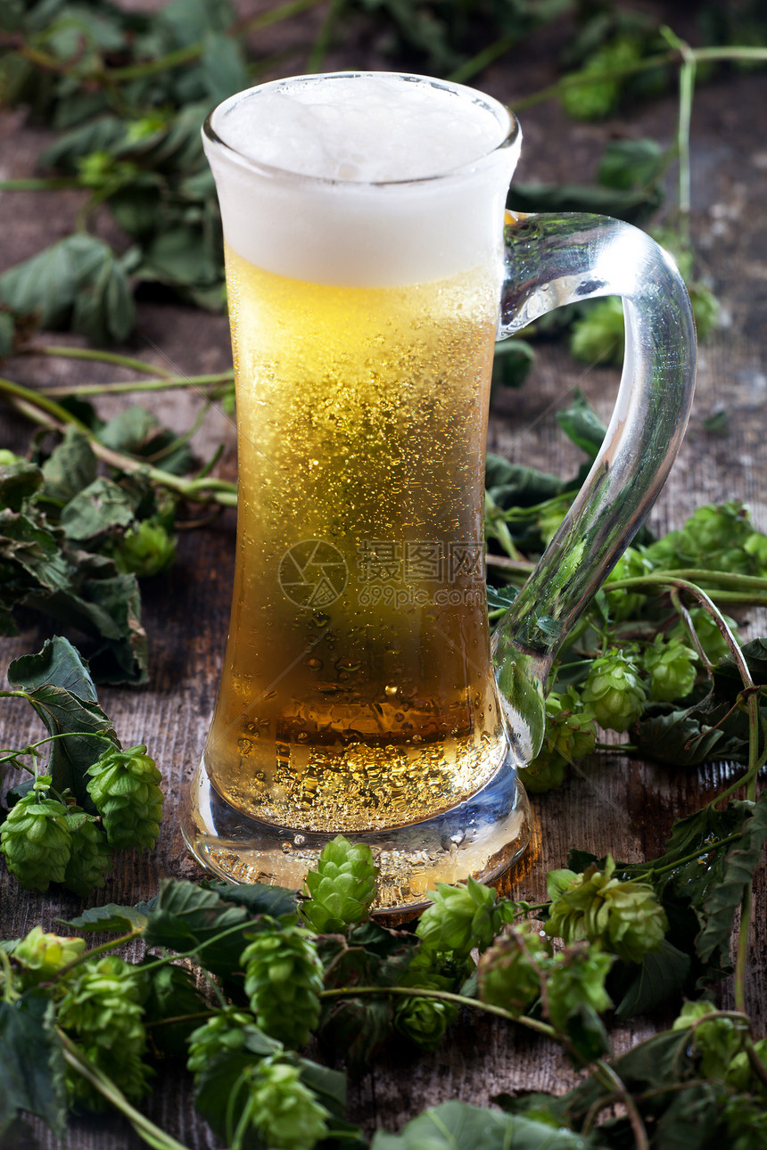 啤酒在杯子和跳玻璃味道产品植物干旱木头绿色酿造泡沫黄色图片