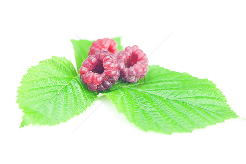 白色背景的草莓和绿色叶子覆盆子浆果香气甜点水果作品饮食食物香味早餐图片
