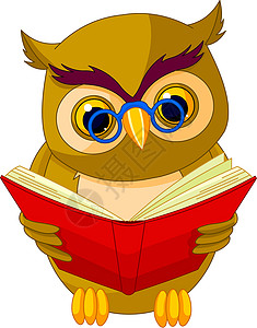 书和眼镜智者猫头鹰眼镜卡通片学校智力动物插图阅读绘画幸福快乐插画