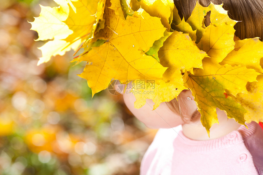 美丽的小女孩 在秋前秋叶的青树叶花圈中喜悦幸福压痛女性公园孩子叶子季节快乐女儿图片