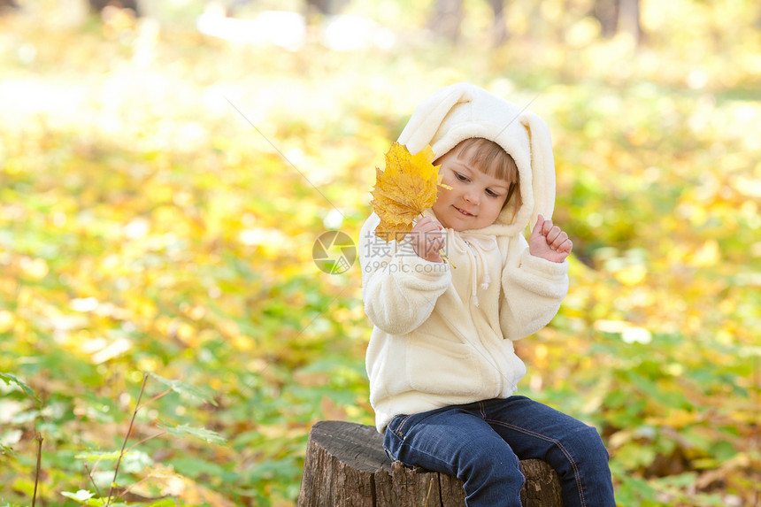 秋天森林中穿着装扮小兔子的漂亮女孩叶子兔子树桩女孩童年女性微笑快乐孩子喜悦图片