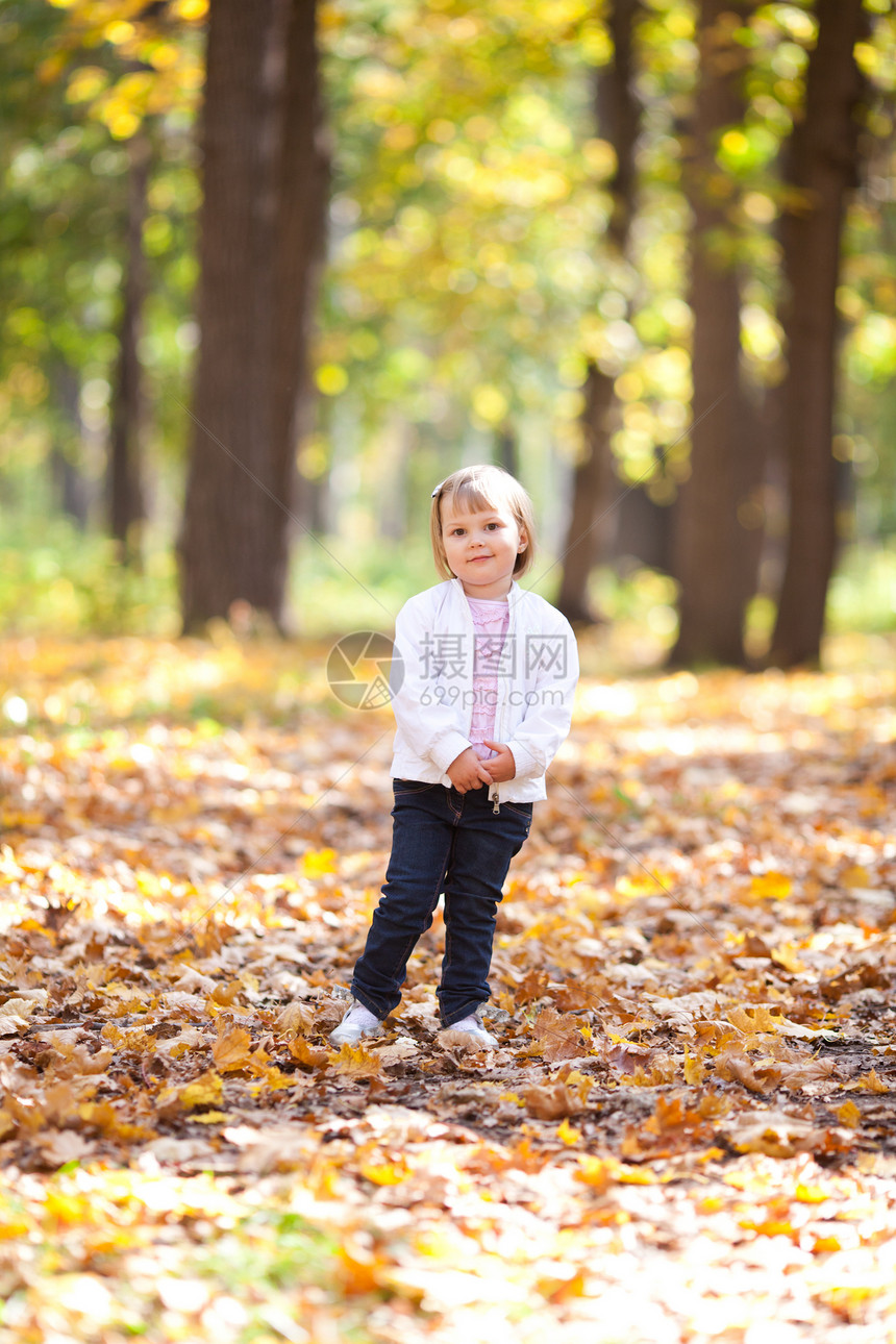 美丽的小女孩在森林里扔叶子的树叶橙子幸福微笑快乐黄色女性乐趣童年压痛森林图片