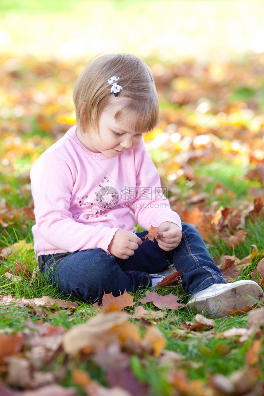 美丽的小女孩坐在秋天的树叶上童年孩子女孩快乐女儿季节压痛橙子公园微笑图片