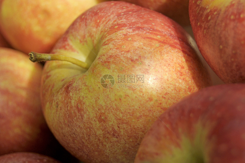 苹果红色纤维收成熟食食物饮食小吃图片