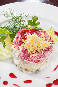 俄罗斯草沙拉桌子图层洋葱鞑靼蔬菜酒吧灯泡菠菜甜菜鲱鱼背景图片