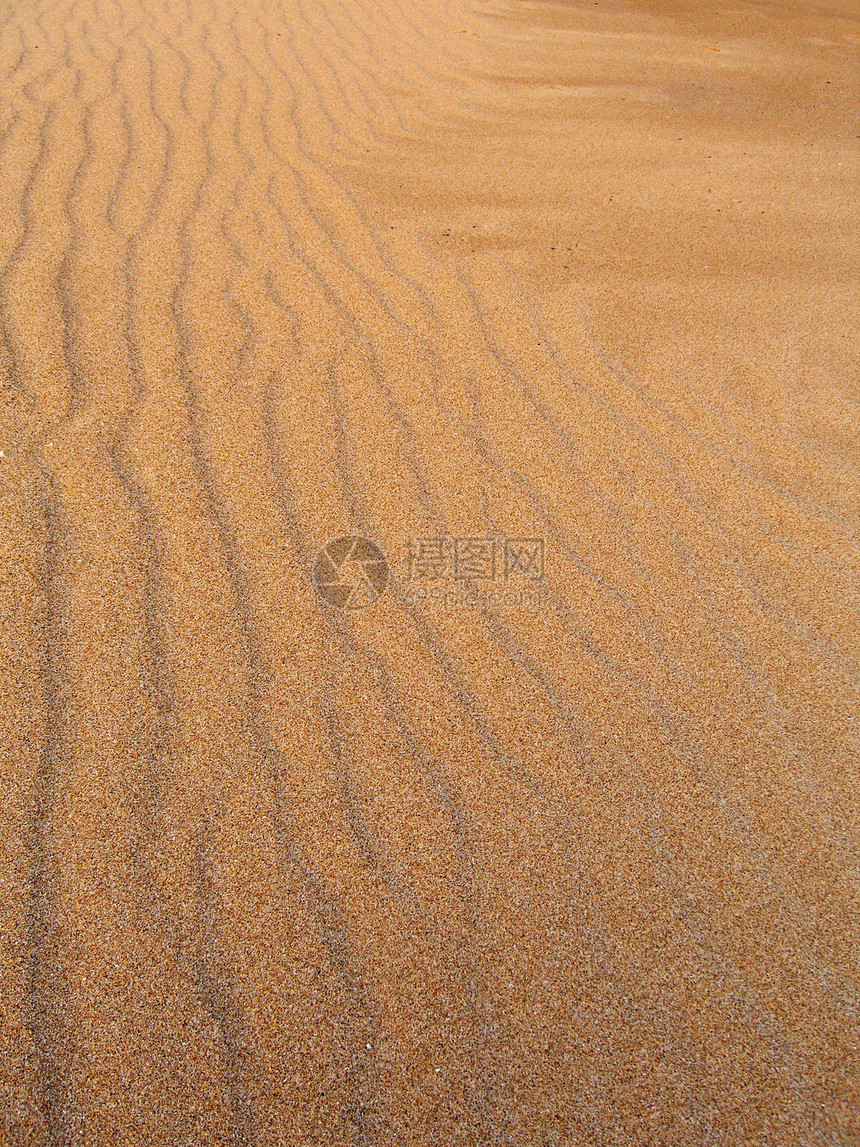 沙沙波沙漠地形漂移海岸线支撑海岸沙丘海滩海浪干旱图片