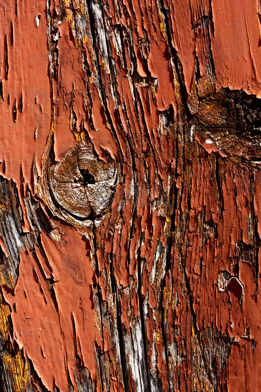 涂有剥皮油漆的木制木质纸木材材料木板棕色衰变风化木头节点裂缝建造图片