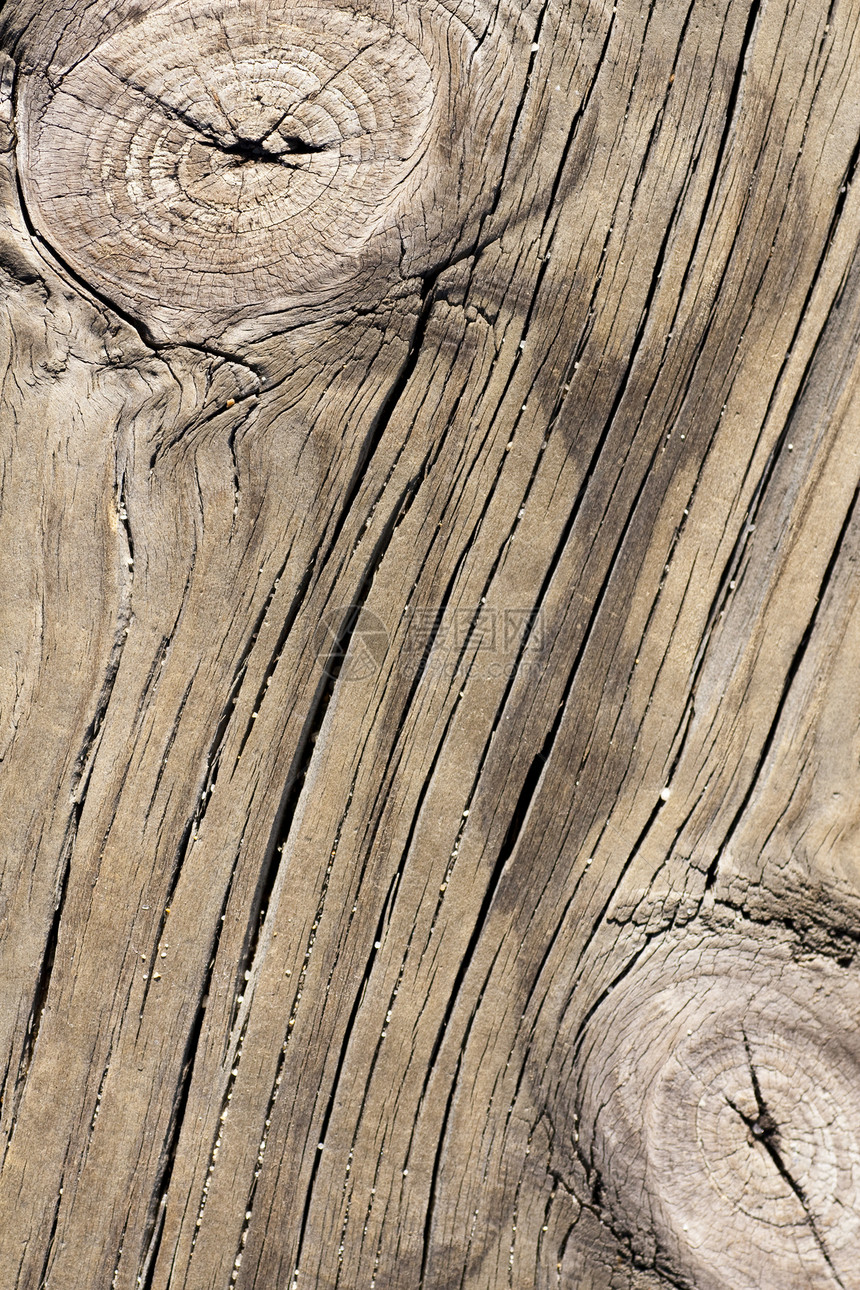 木板纹理硬木地面木材腐烂木工材料宏观木头静脉节点图片