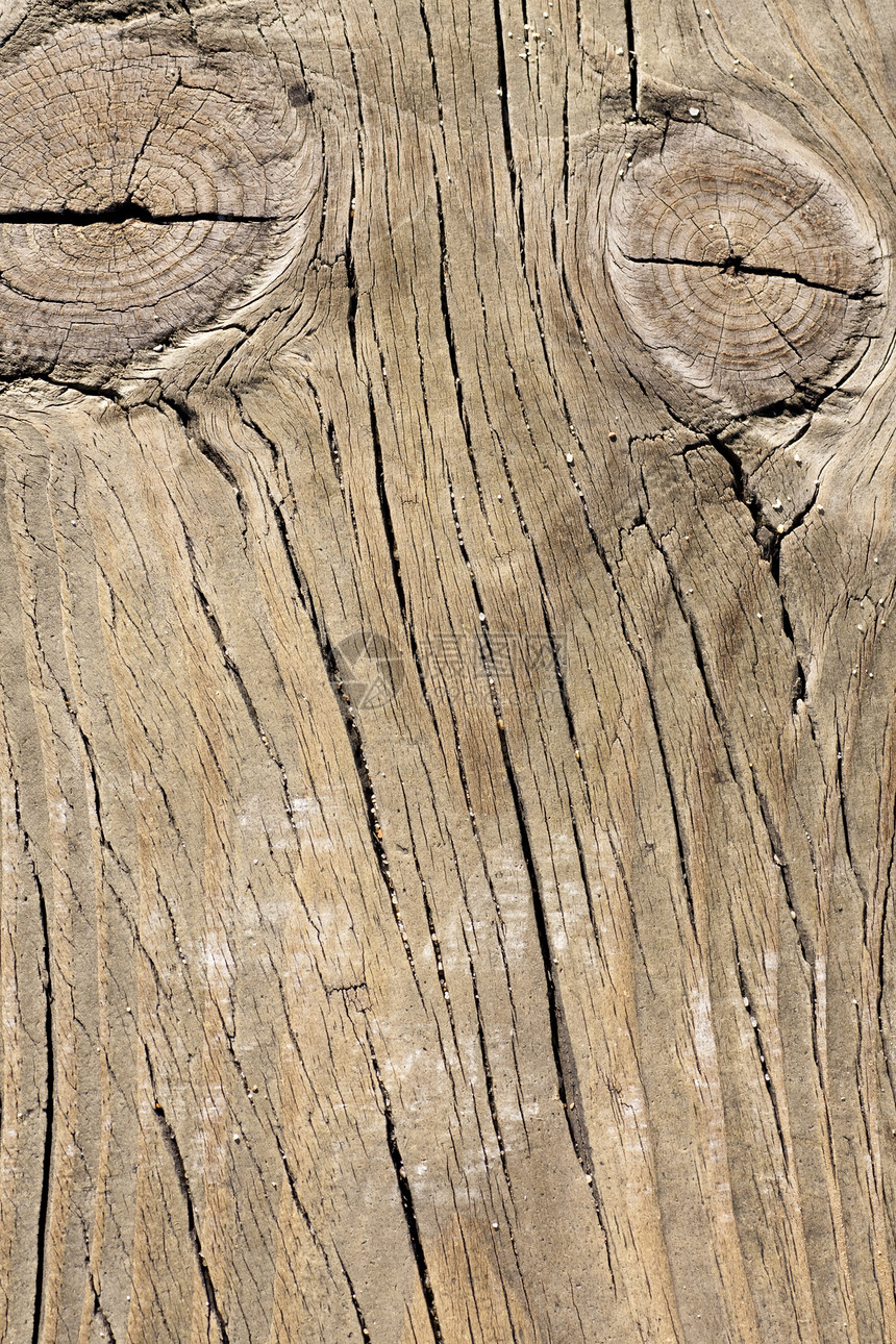木板纹理木工木头材料宏观木材裂缝静脉节点腐烂地面图片