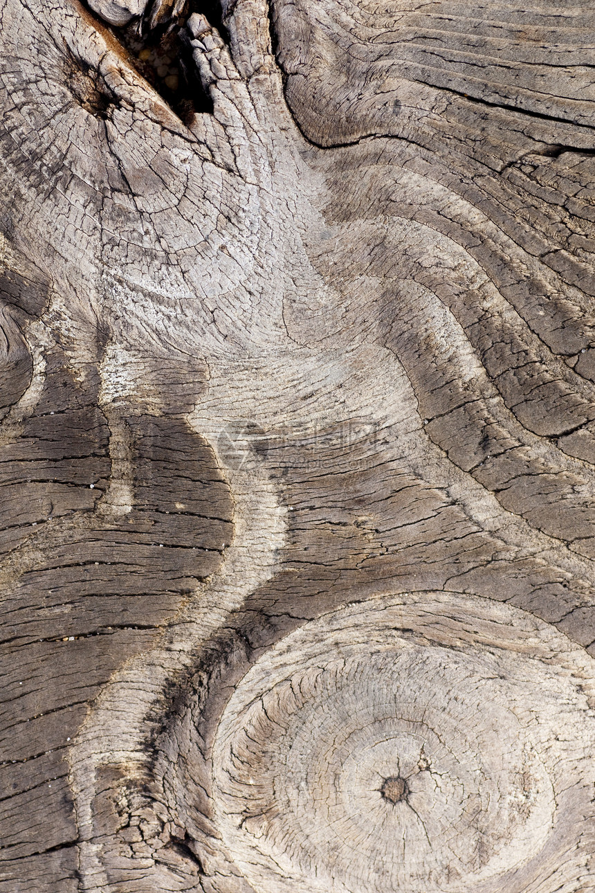 木板纹理硬木棕色腐烂裂缝木材木头地面宏观线条节点图片