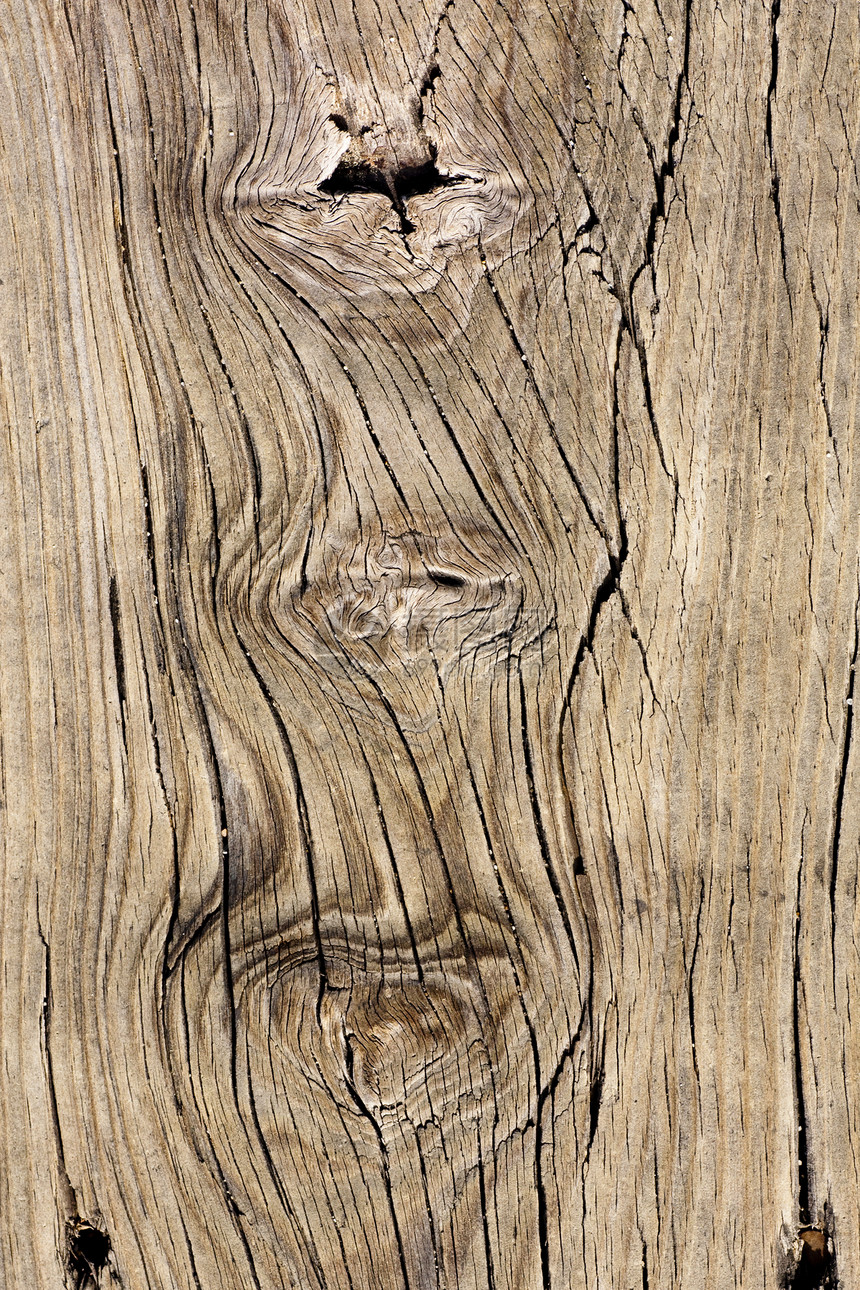 木板纹理腐烂木工木材木头线条裂缝宏观地面棕色静脉图片