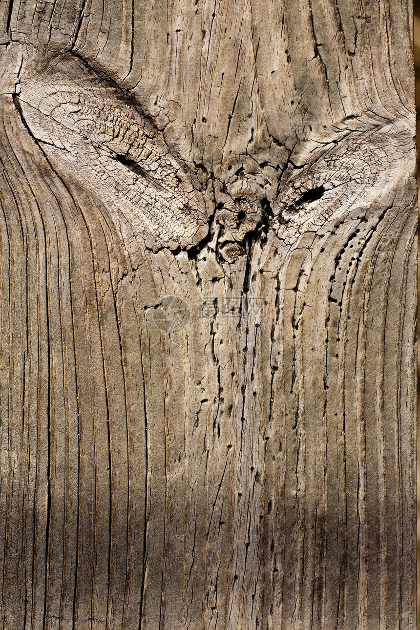 木板纹理木工腐烂宏观木材硬木节点棕色材料木头地面图片