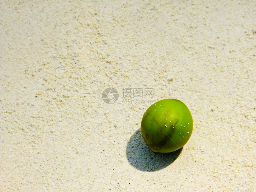 白沙滩上的绿色椰子图片