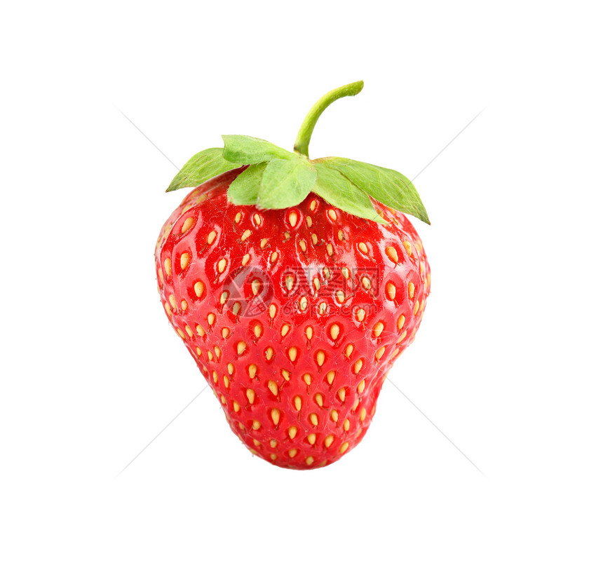 在白色背景中与世隔绝的草莓白莓浆果活力宏观甜点团体叶子红色绿色水果食物图片
