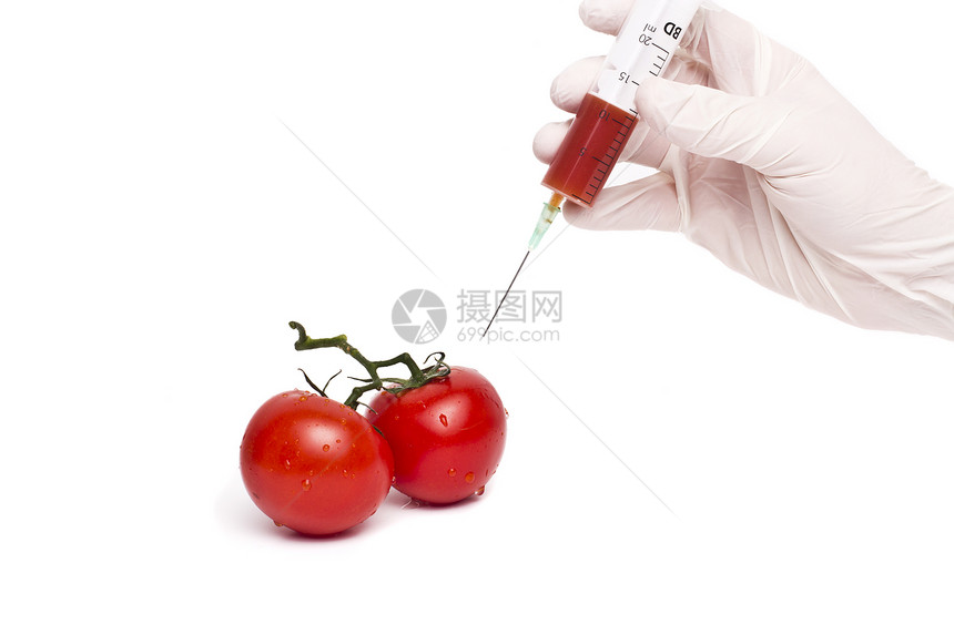 Gmo 产品概念 番茄注射化学品技术药品实验室工程生物疫苗红色毒素毒液图片