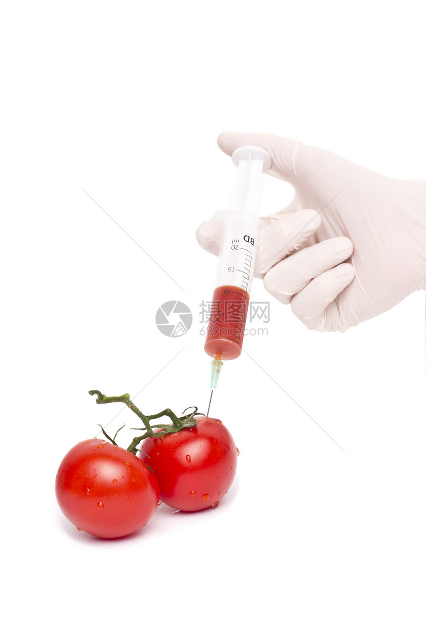 Gmo 产品概念 番茄注射毒素吮吸果汁化学品实验室技术疫苗注射器工程基因图片
