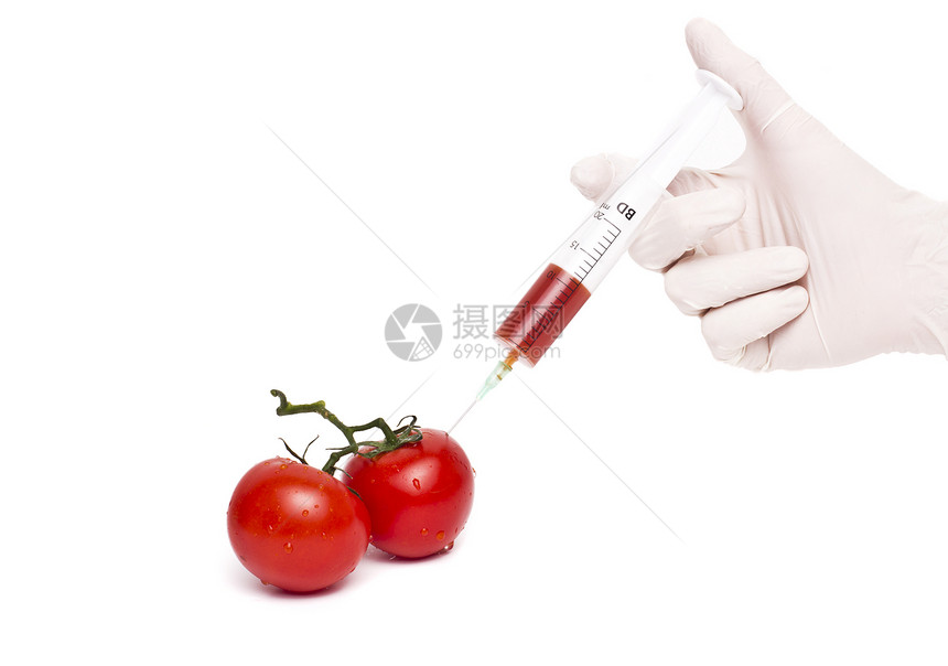 Gmo 产品概念 番茄注射毒液疫苗实验室注射器食物红色基因工程技术生物图片