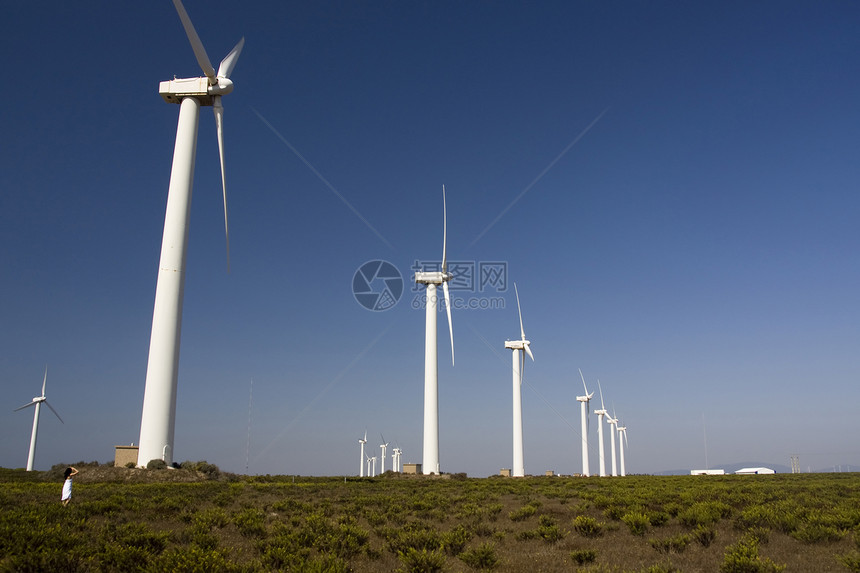 女孩和风车绿色创新发电机活力资源风力力量涡轮旋转场地图片