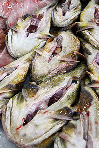 市场上的鱼食物安康鱼高清图片
