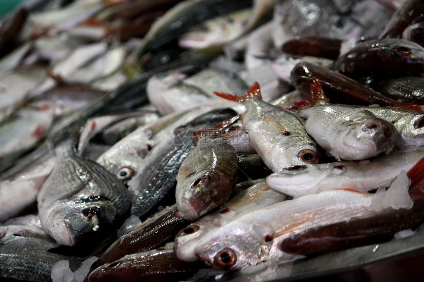 丁膜堆积钓鱼大部分美味销售食物美食市场海鲜图片
