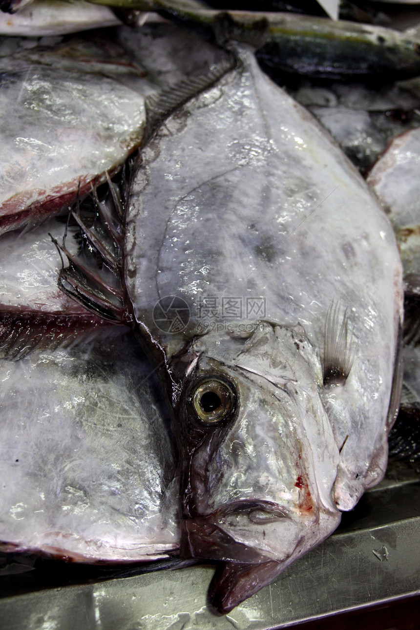 丁膜堆积食物美味海鲜销售大部分钓鱼市场美食图片