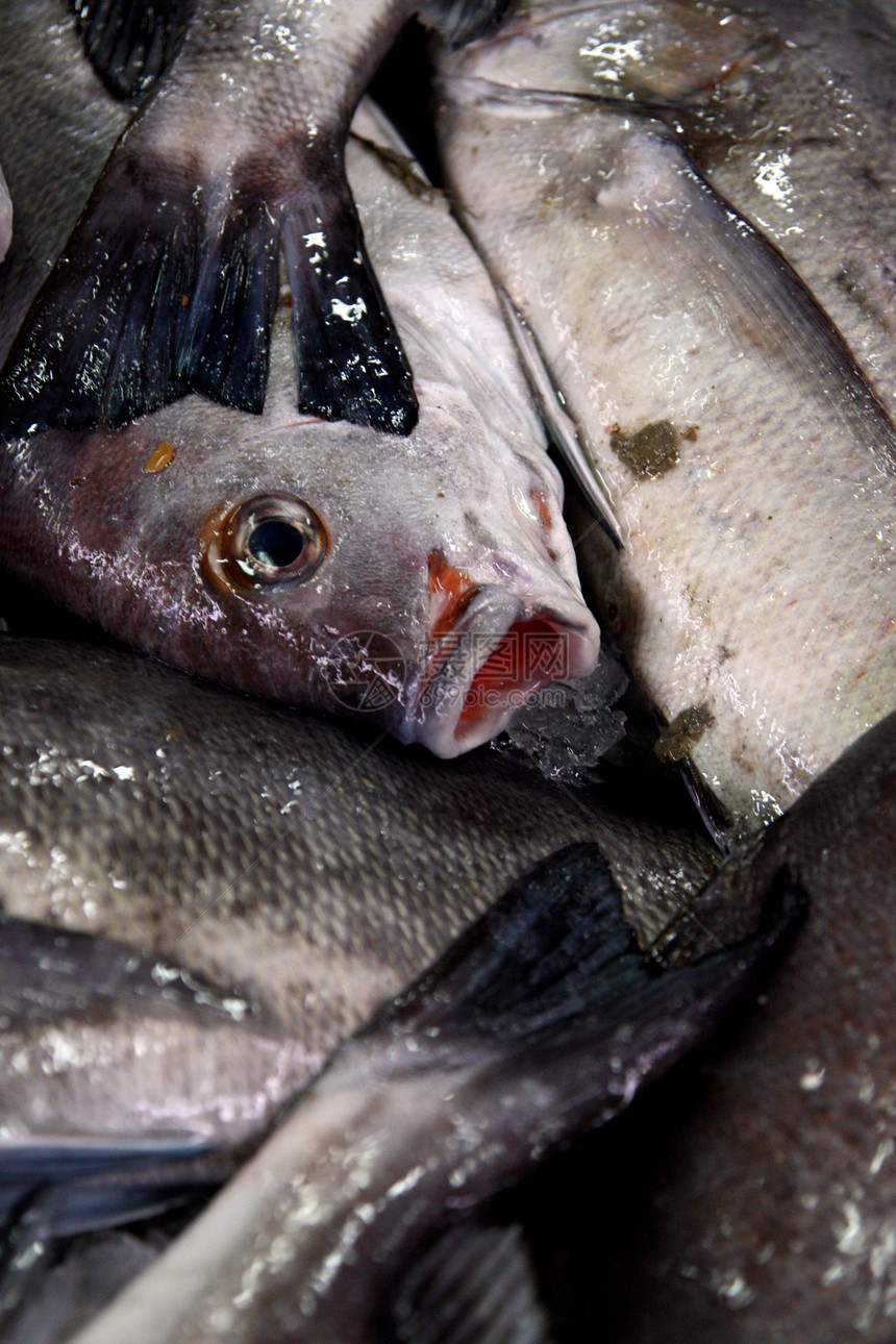 丁膜堆积食物销售大部分钓鱼市场美味美食海鲜图片