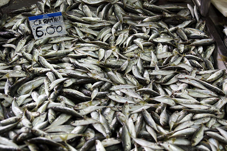 硬纸堆竹荚鱼美食市场标签钓鱼鲭鱼海鲜销售美味竹节高清图片