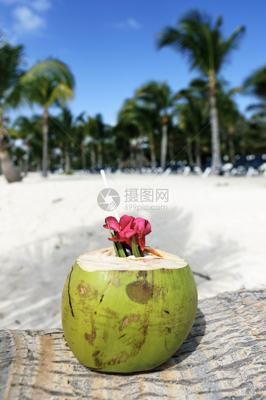 海滩饮料旅行海岸棕榈旅游假期阳光晴天茶点情调椰子图片