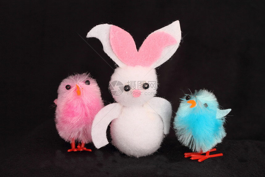 东兔子和小鸡蓝色耳朵白色毛毡庆典粉色图片