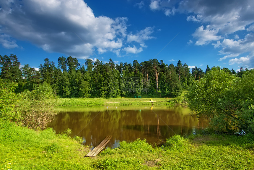 夏天的风景与一个小湖 在松树的背景图片