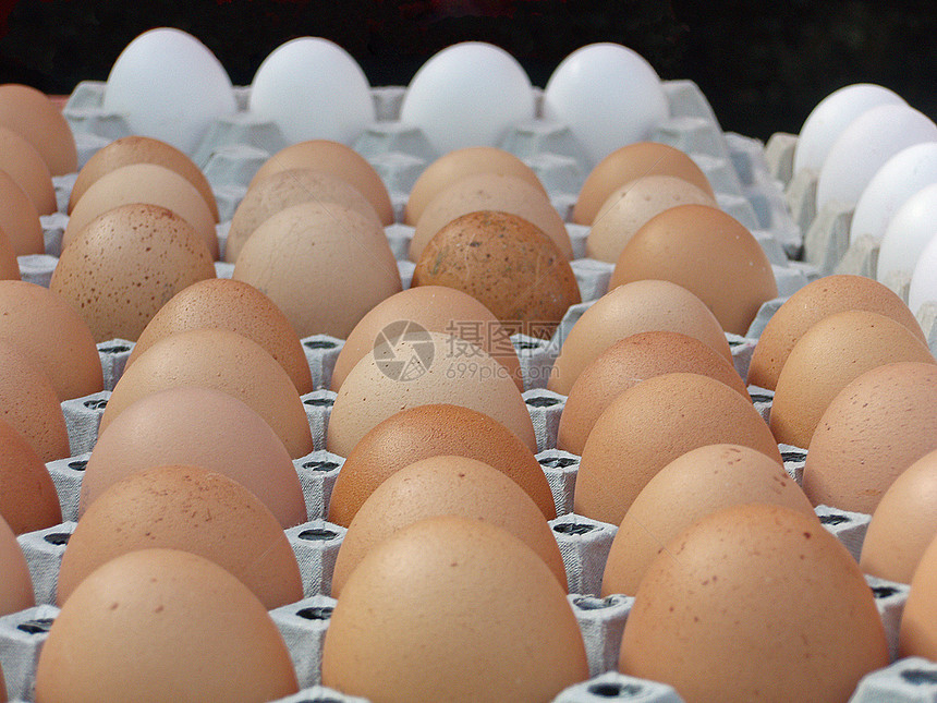 蛋游戏生物健康食物早餐图片