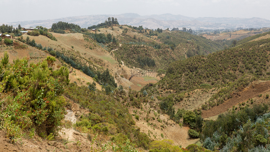 埃塞俄比亚山丘地貌植被山脉植物绿色生态旅游陨石树木丘陵图片