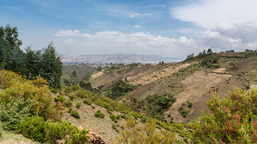 埃塞俄比亚山丘地貌生态旅游绿色植被植物陨石山脉树木丘陵图片