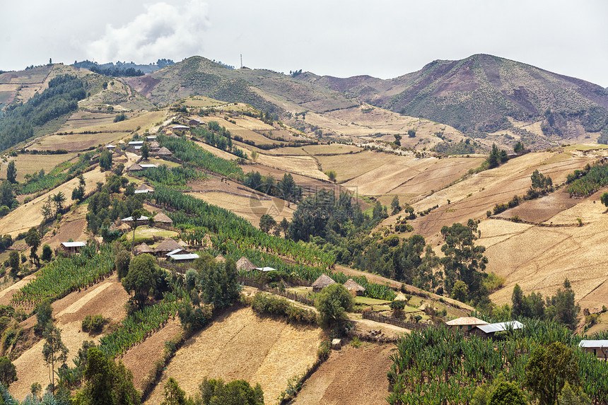 山丘上的村庄树木绿色乡村植物山脉房子小屋陨石生态旅游植被图片