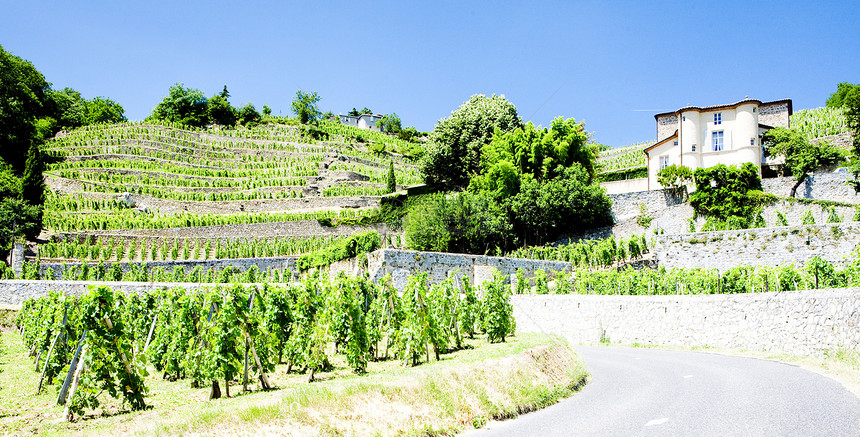 法国罗昂阿尔卑斯州格里埃特城堡葡萄园葡萄园旅行酒庄农业建筑物位置农村乡村城堡格栅图片