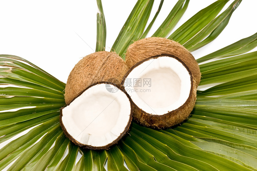 椰子异国植物食物情调饮食生态浆果甜点季节水果图片