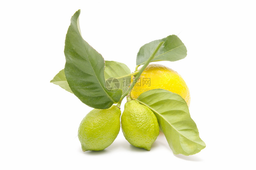 新鲜柠檬食物素食水果石灰绿植物季节图片